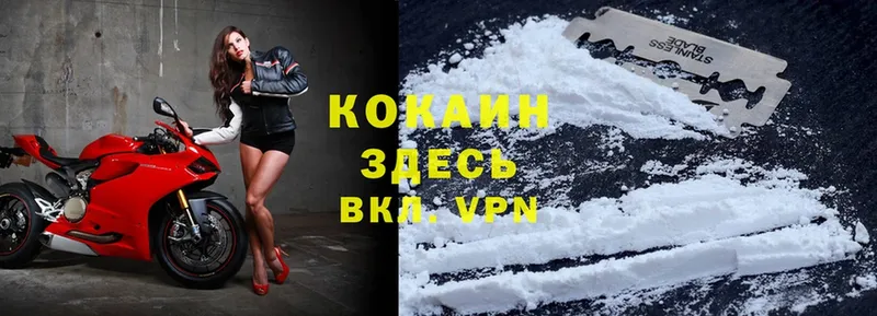 дарнет шоп  Болотное  Cocaine Боливия 